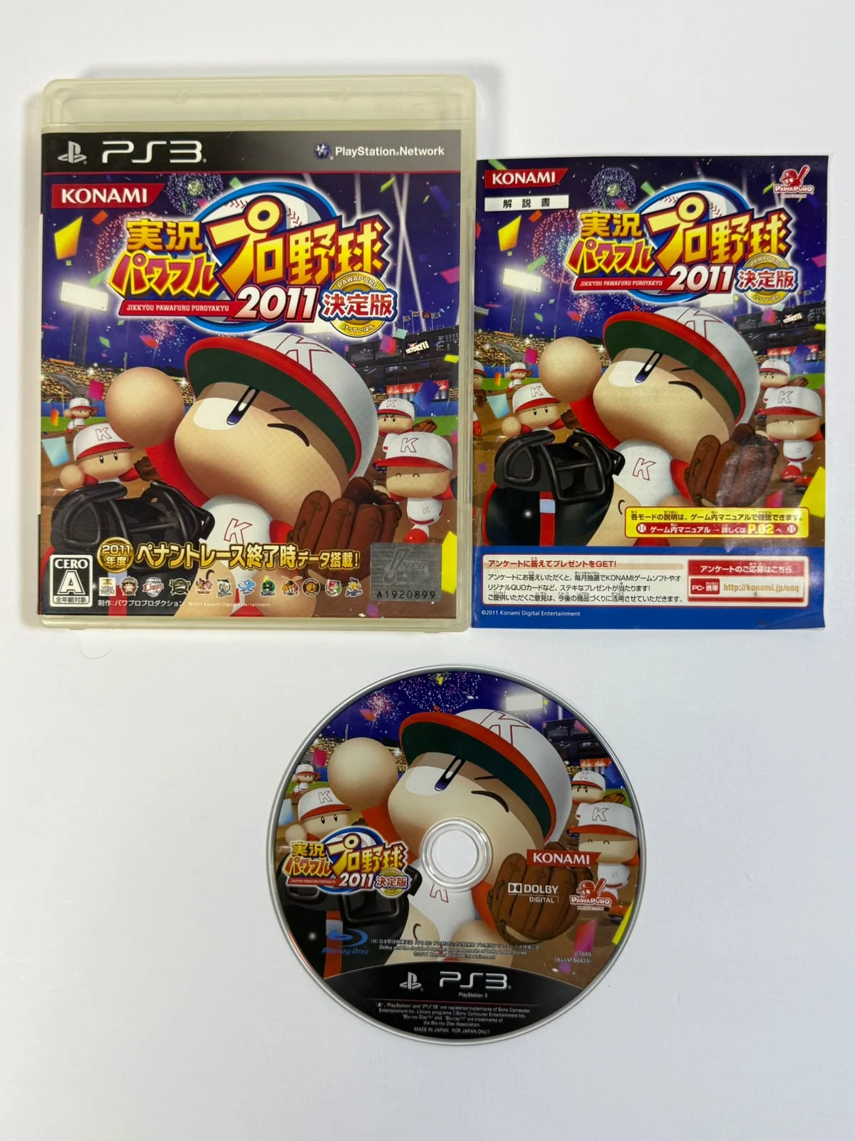 Power Pros 2011 (Final Edition)